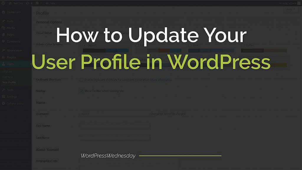 How to Update Your User Profile in WordPress