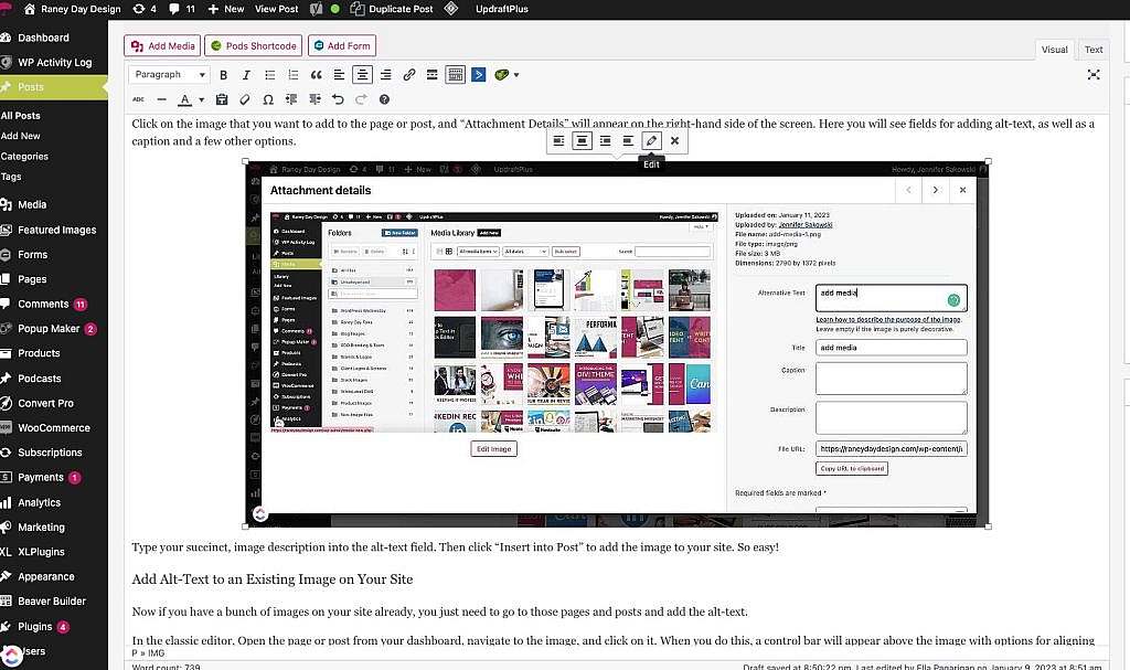 edit image on page